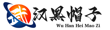 武汉黑帽子科技有限公司